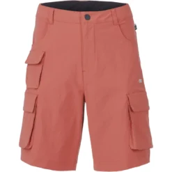 Picture Heren Robust Shorts